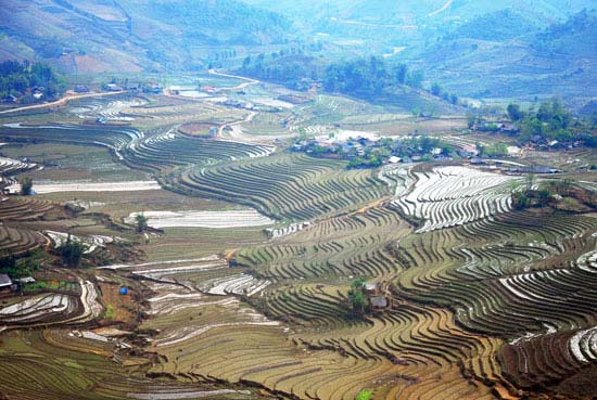 Thời tiết Sàng Ma Sáo