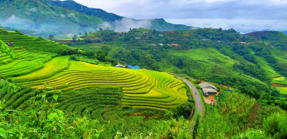 Thời tiết Sin Suối Hồ