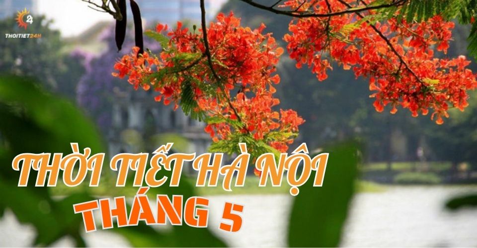 Tháng 5: Những điều thú vị bạn cần biết Gallery 1