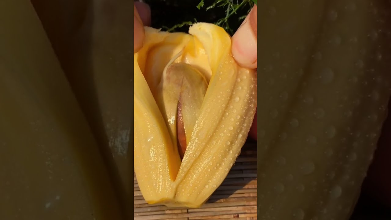 Thơm Như Múi Mít