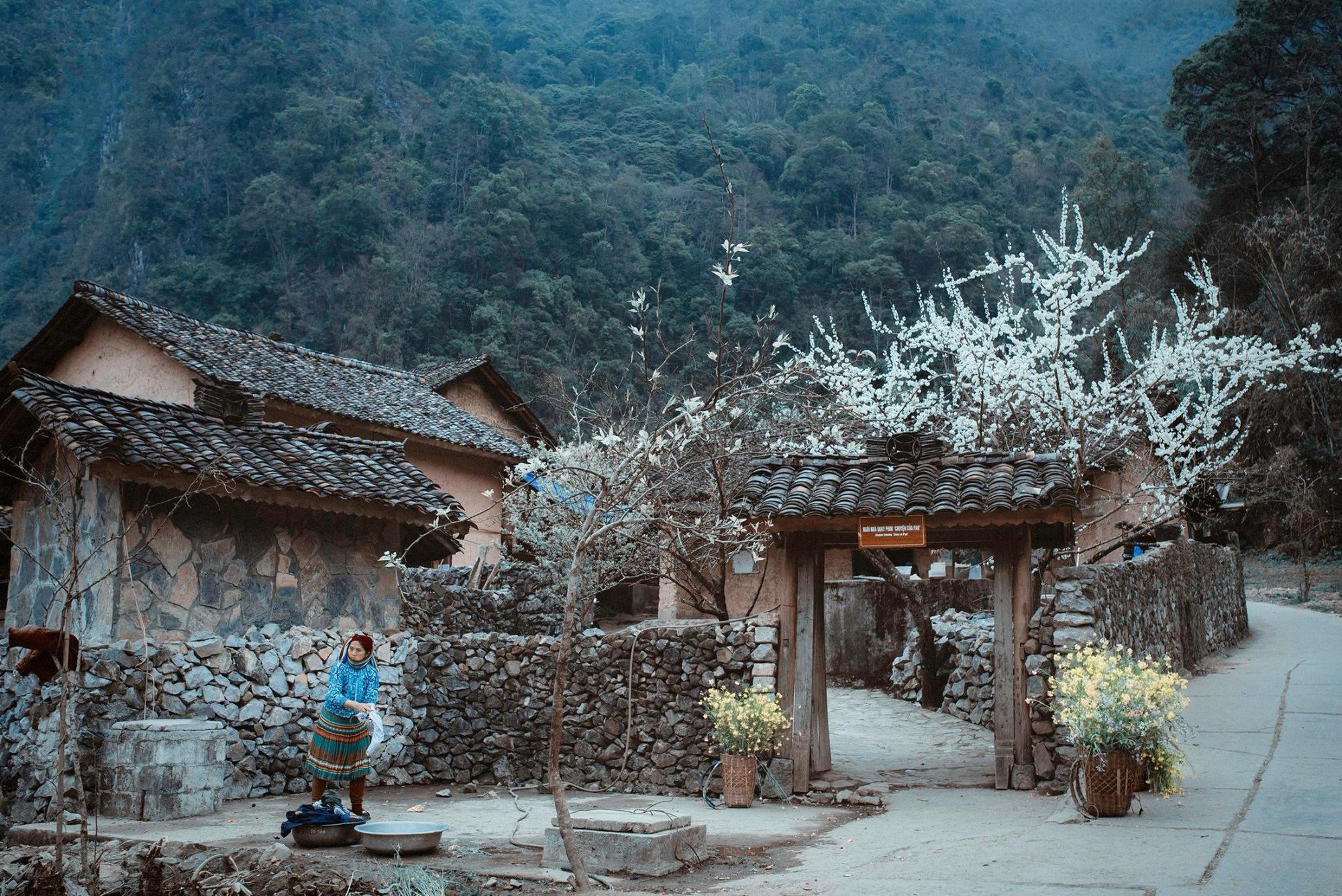 Thôn Vân Miêu, Vân Nam: Khám phá vẻ đẹp hoang sơ và văn hóa độc đáo