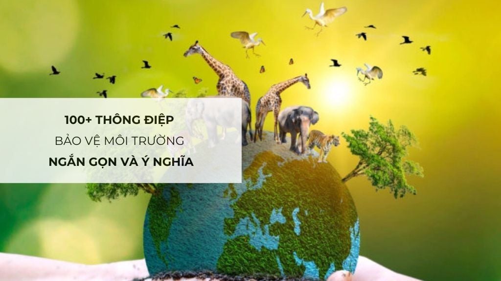 Chung tay bảo vệ môi trường - Hành động nhỏ, ý nghĩa lớn