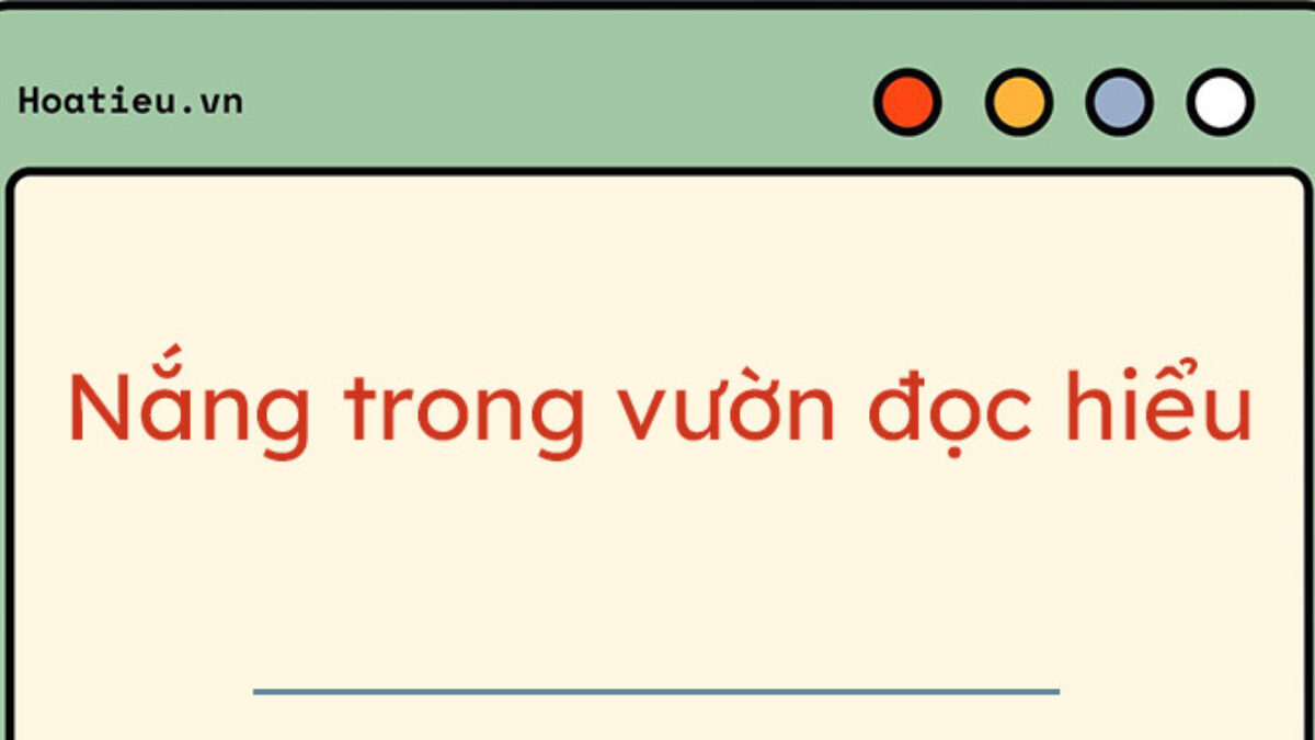 Nắng Trong Vườn Đọc Hiểu Gallery 2