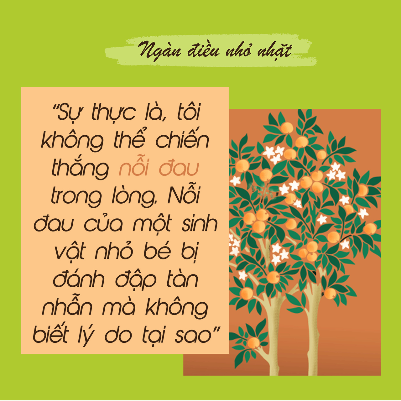 Thông Điệp Của Cây Cam Ngọt Của Tôi