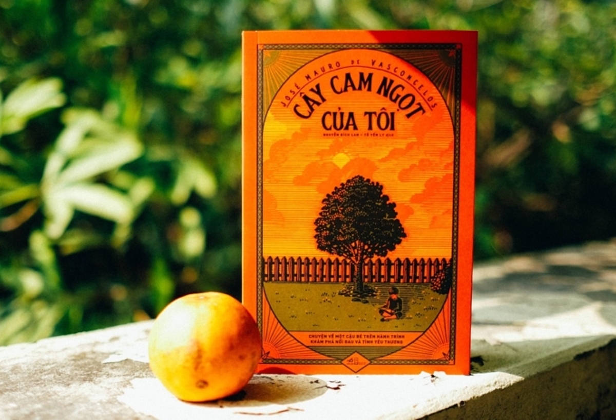 Tóm tắt Truyện Cây Cam Ngọt của Tôi Gallery 2