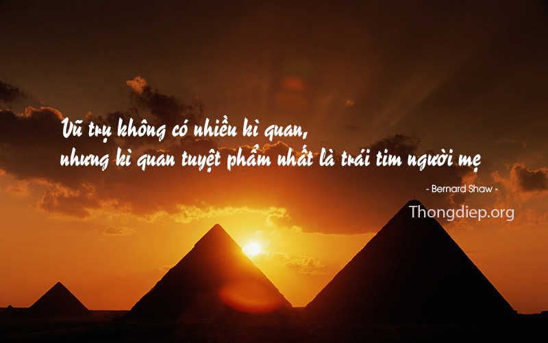 Ý nghĩa thiêng liêng của tình yêu thương cha mẹ
