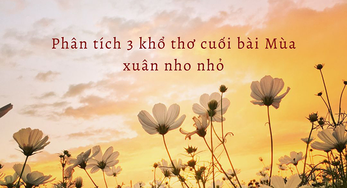 Phân tích 3 khổ cuối bài Mùa xuân nho nhỏ Gallery 2