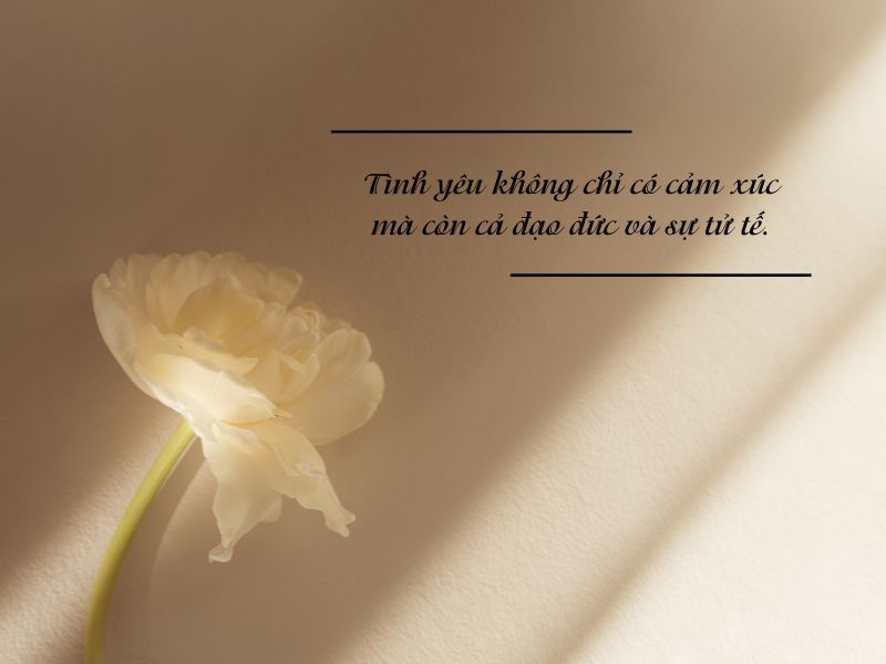 Sự Tử Tế: Ý Nghĩa và Tầm Quan Trọng