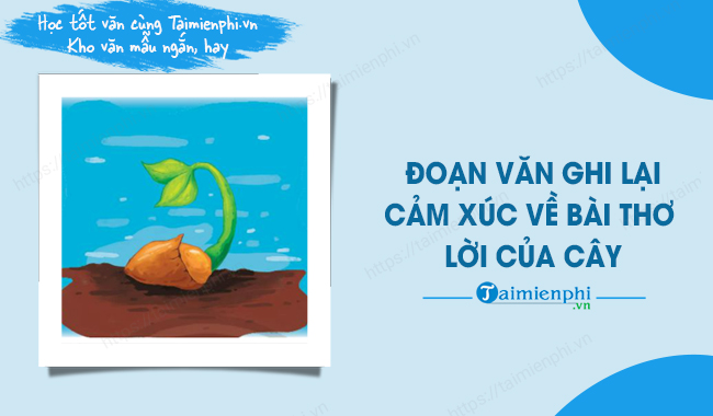 Cảm xúc về bài thơ Lời của cây Gallery 2