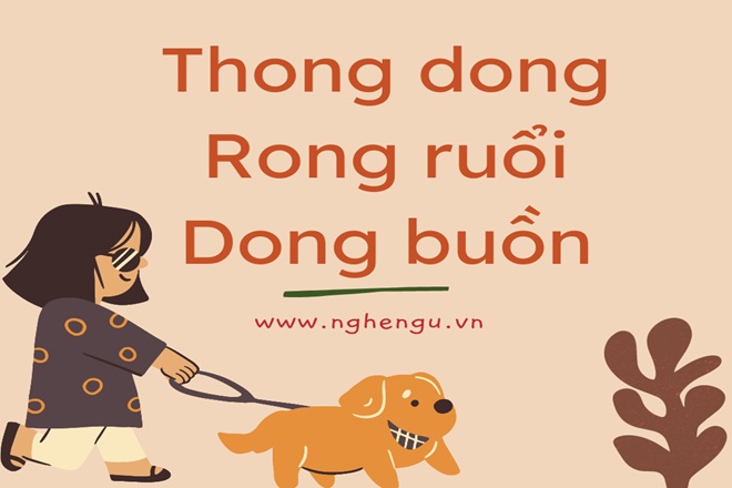 Thông Dong Hay Thông Rong?