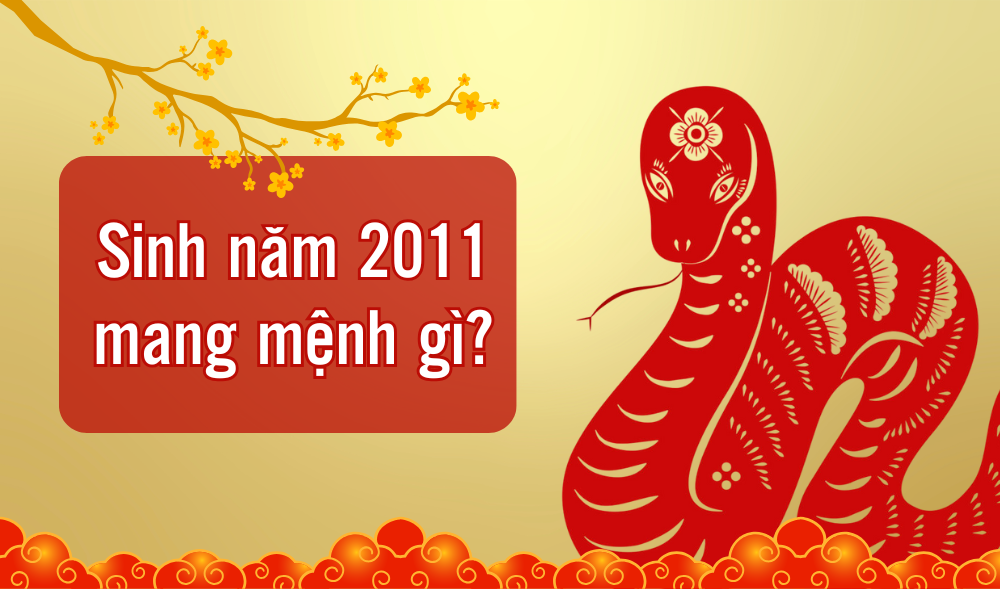 Quý Tỵ 2013 Bao Nhiêu Tuổi? Gallery 2
