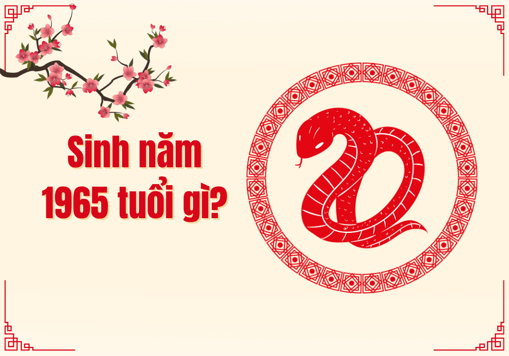 Sinh năm 1965 là tuổi con gì? Gallery 2