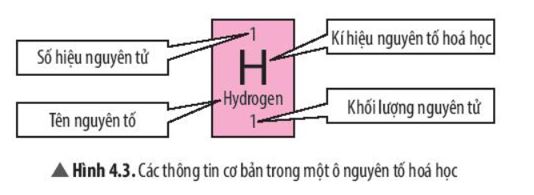 Ô nguyên tố cho biết điều gì? Gallery 2