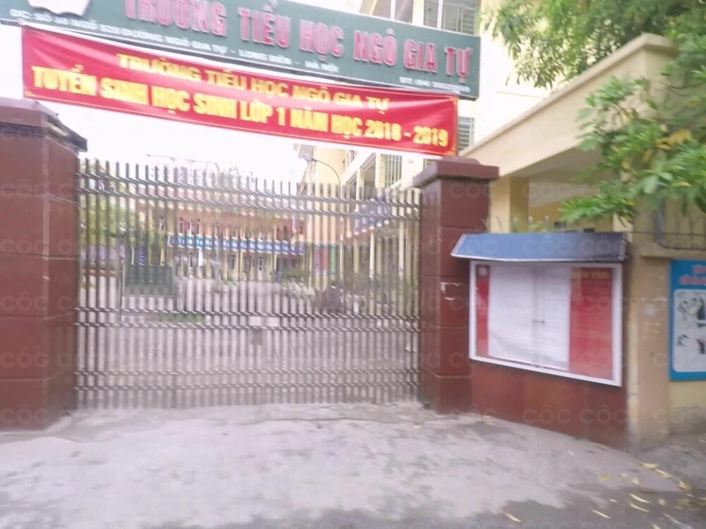 Trường Tiểu học Ngô Gia Tự Gallery 1