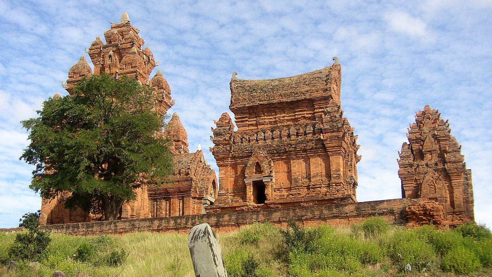 Sở Thú Phan Rang - Khám Phá Thế Giới Động Vật Gallery 1