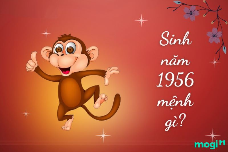 Sinh năm 1956 là bao nhiêu tuổi? Gallery 2