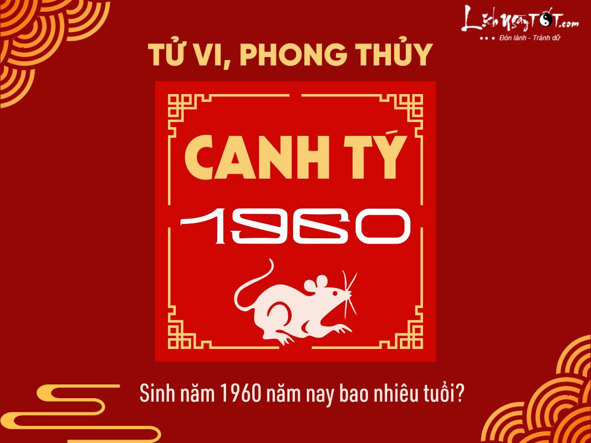 Sinh năm 1960 năm nay bao nhiêu tuổi? Gallery 2
