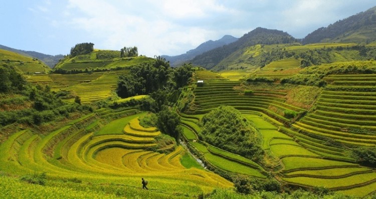 Thời tiết Sàng Ma Sáo Gallery 1
