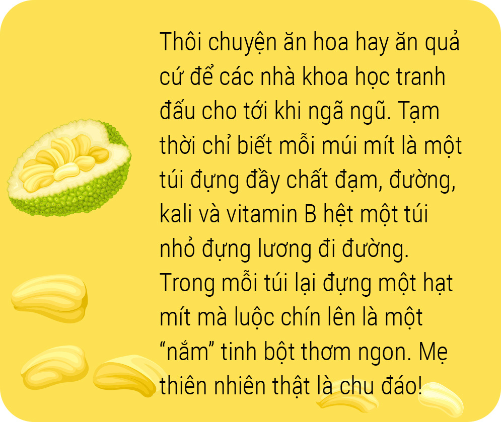 Bài Thơ Quả Mít Hay Và Ý Nghĩa Gallery 2