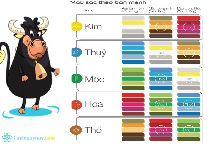 Tuổi Con Trâu Bao Nhiêu Tuổi? Gallery 2