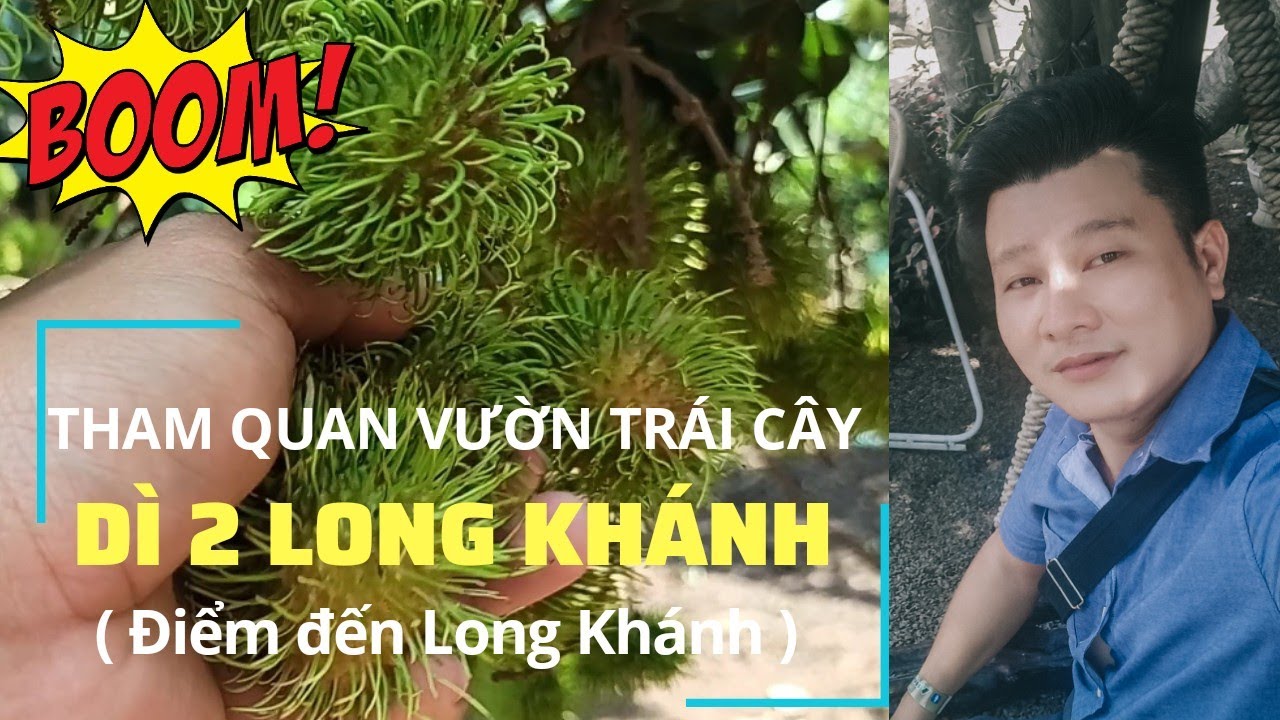 Vườn Trái Cây Dì 2 Gallery 1