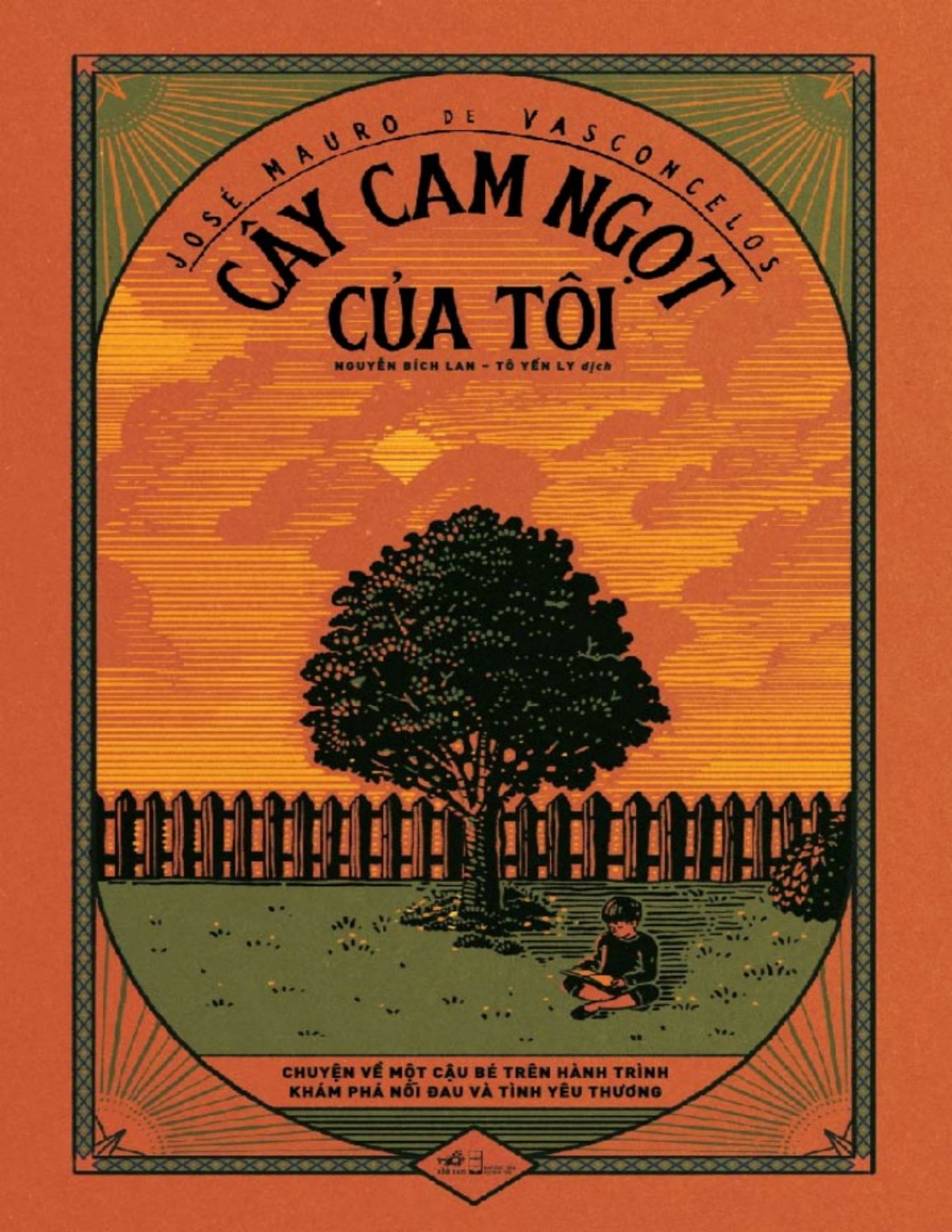 Cây Cam Ngọt Của Tôi: Bí quyết chăm sóc và thu hoạch quả ngọt Gallery 2