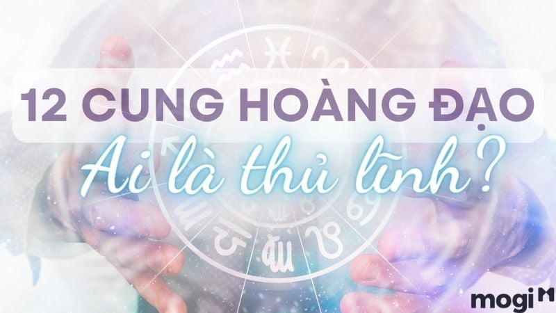 Thủ Lĩnh Nhà Đất Là Cung Nào?