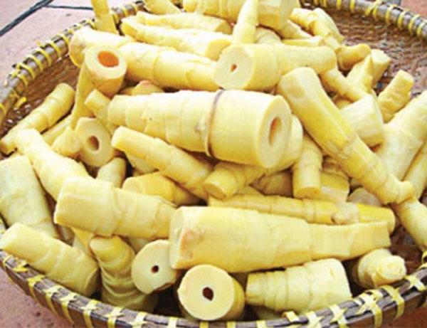 Thu Mua Măng Tươi Giá Cao, Uy Tín Toàn Quốc