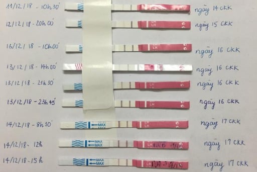 Thử que rụng trứng khi nào?