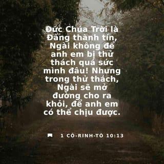 Một Người Mù Đi Trên Con Đường Tối Gallery 1