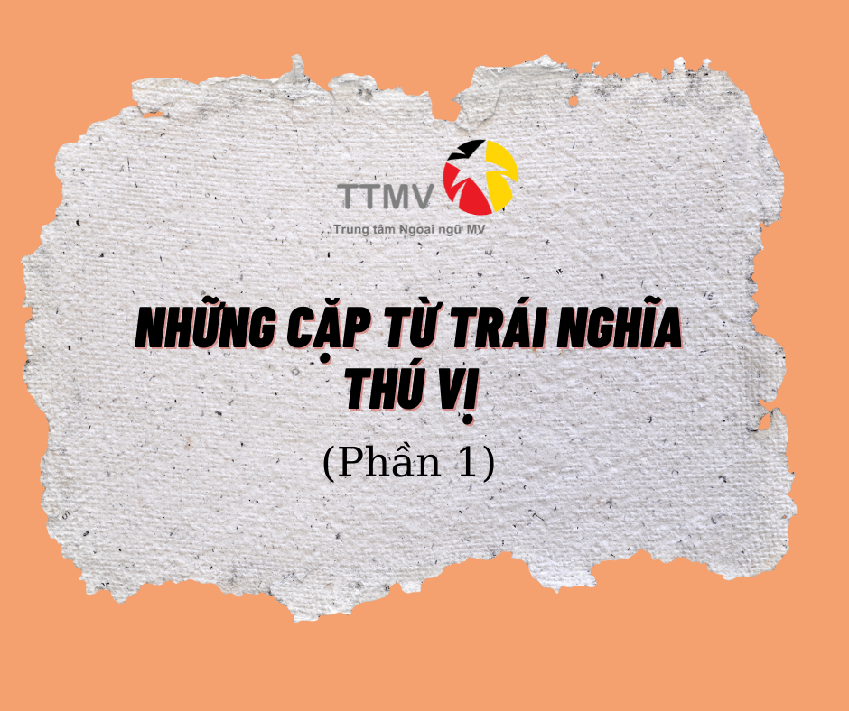 Thú vị nghĩa là gì? Gallery 2