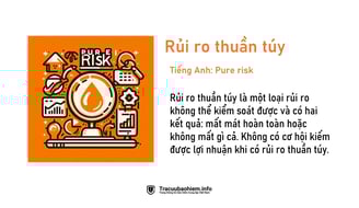 Thuần Túy Là Gì?