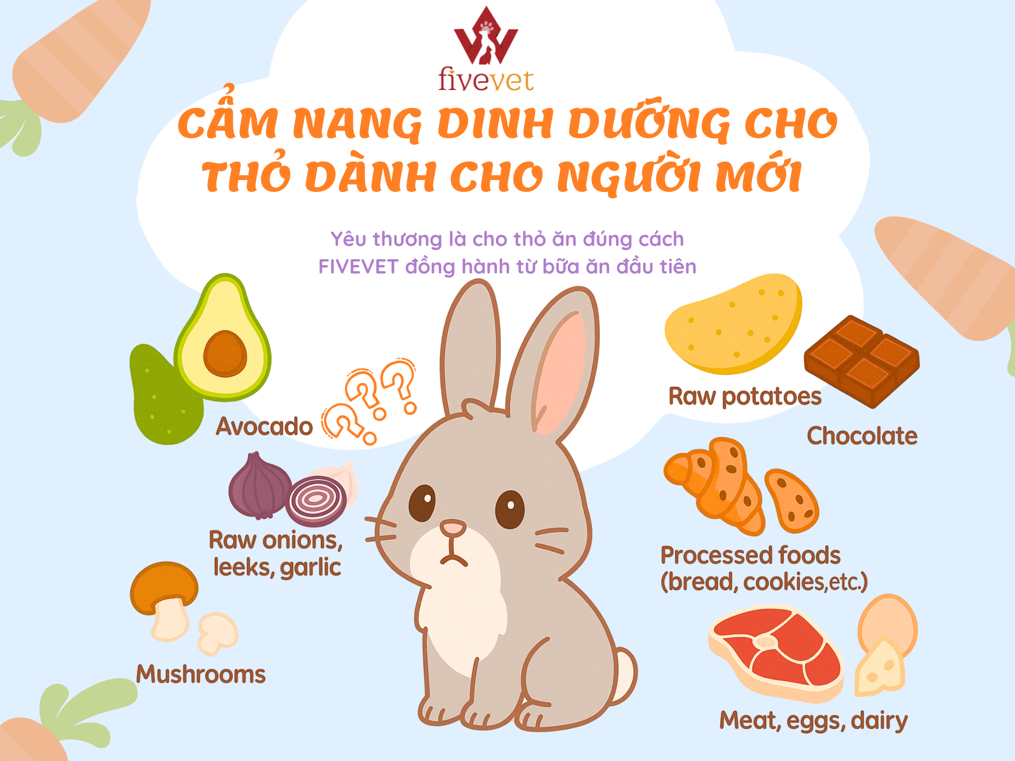 Thỏ ăn được những gì? Gallery 2