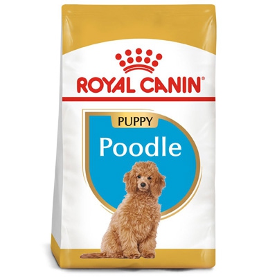 Chó Poodle Ăn Gì? Gallery 1
