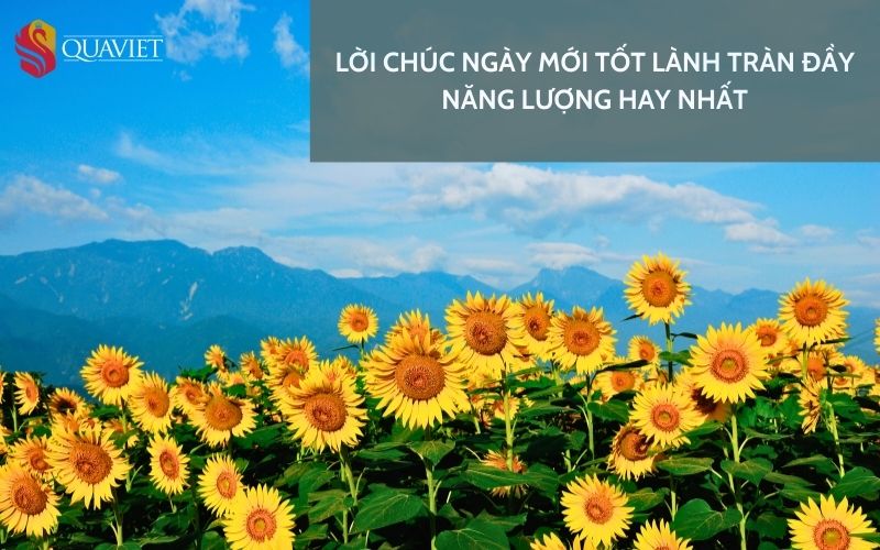 Năng lượng tích cực cho ngày mới Gallery 1