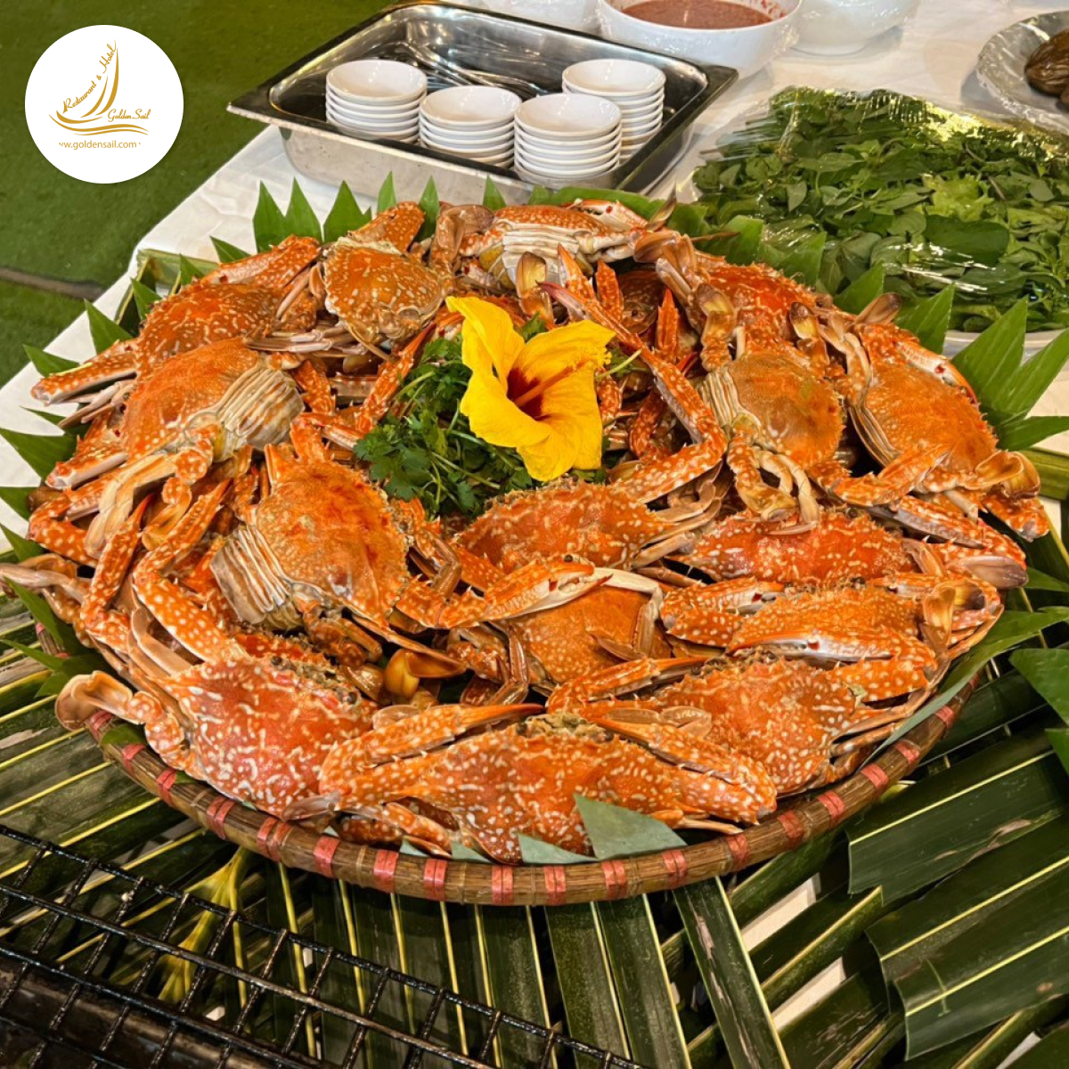 Nhà hàng Cánh Buồm Vàng Mũi Né - Trải nghiệm ẩm thực tuyệt vời tại Phan Thiết Gallery 2
