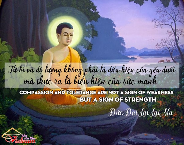 STT Phật dạy về tâm:  Con đường đến sự an lạc Gallery 2