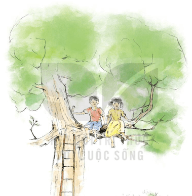 Thực hành đọc Ngôi nhà trên cây