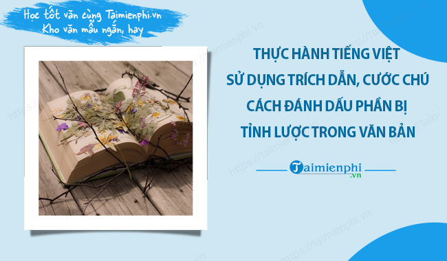 Thực hành tiếng Việt: Trích dẫn cước chú và cách đánh dấu phần bị tỉnh lược trong văn bản