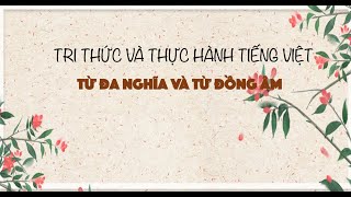 Thực hành tiếng Việt: Từ đồng âm và từ đa nghĩa