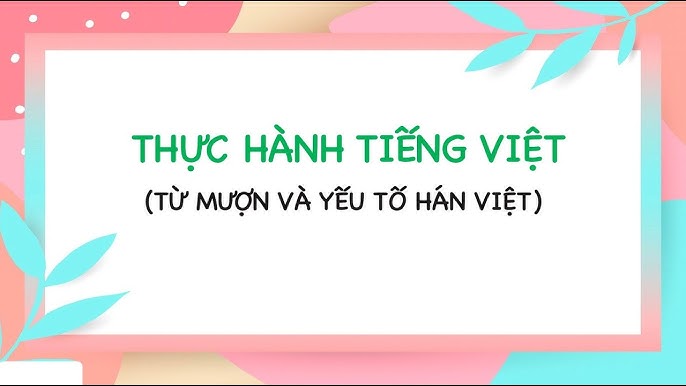 Thực hành tiếng Việt từ mượn: Hướng dẫn chi tiết và bài tập