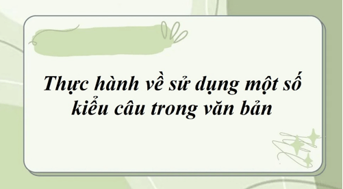 Thực hành sử dụng một số kiểu câu trong văn bản