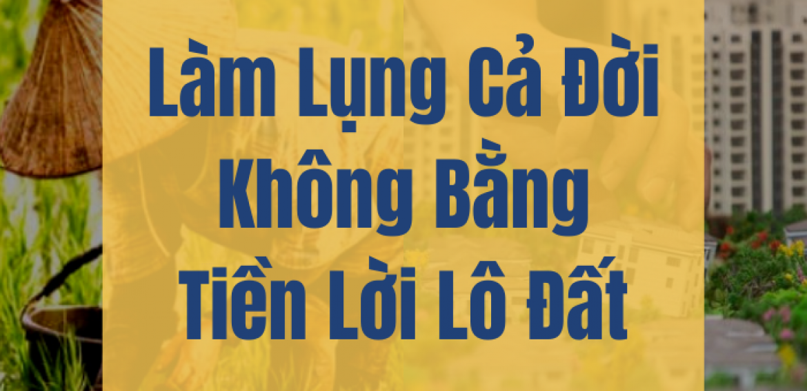 Làm lụng cả đời không bằng tiền lời lô đất Gallery 1