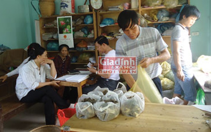 Thực hư thầy lang Lý Văn Nguyên ở Ba Vì