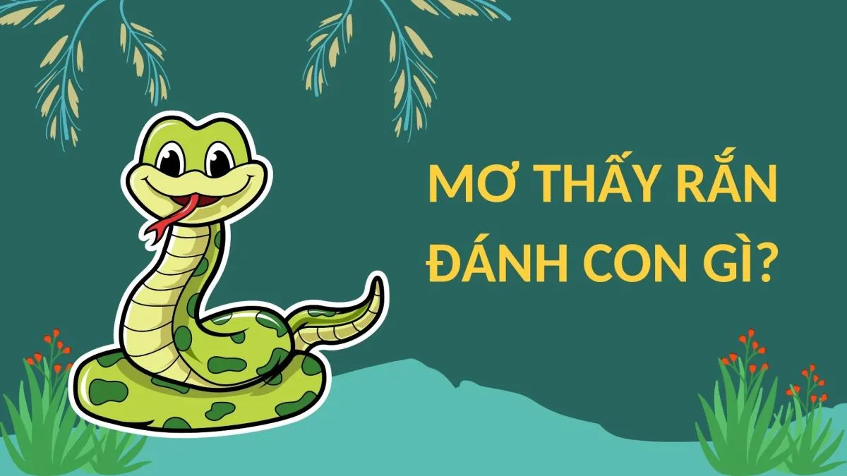 Thấy Rắn Mối Đánh Số Mấy? Gallery 2