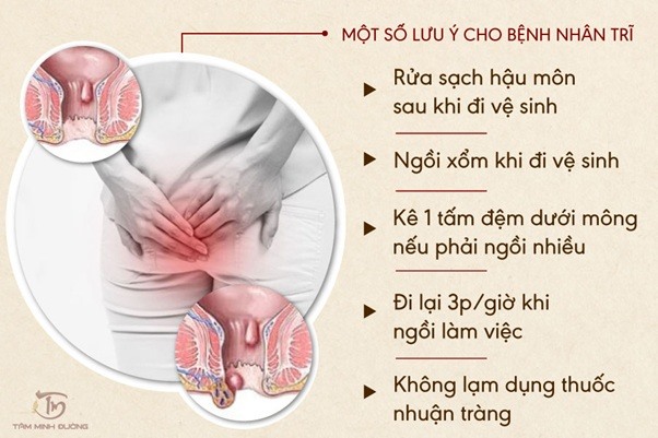 Bị Trĩ Ăn Gì? Chế Độ Ăn Uống Cho Người Bị Trĩ Gallery 2
