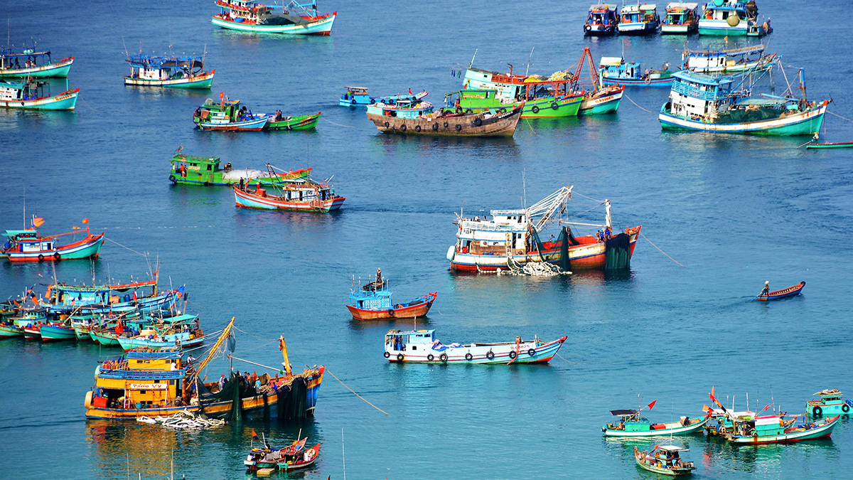 Nuôi trồng thủy sản nước ta hiện nay Gallery 1
