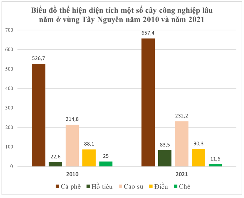Sản xuất cây công nghiệp lâu năm ở nước ta hiện nay Gallery 1