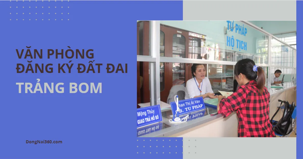 Kỹ Nữ Trang Bom: Sự Thật Về Nghề Nghiệp Này Gallery 2