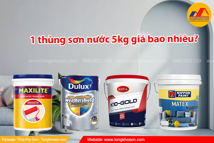 Thùng Sơn Nước 5kg Giá Bao Nhiêu?